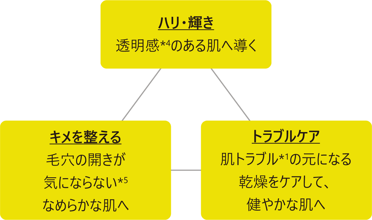 ハリ・輝き キメを整える トラブルケア